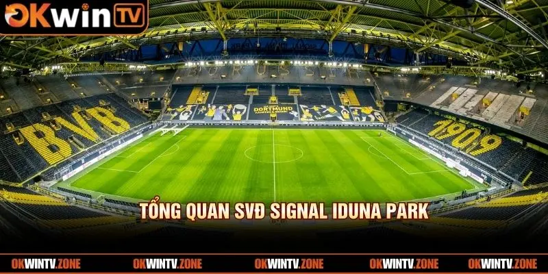 Tổng quan không gian và quy mô Signal Iduna Park
