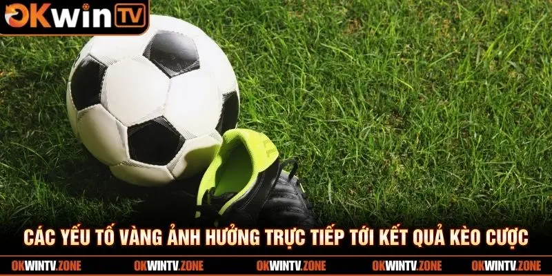 Các yếu tố vàng ảnh hưởng trực tiếp tới kết quả kèo cược