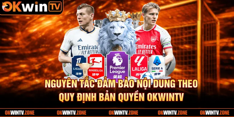 Nguyên tắc đảm bảo nội dung theo quy định bản quyền OkwinTV